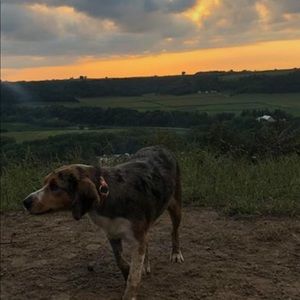 Meet your Posher, Jada